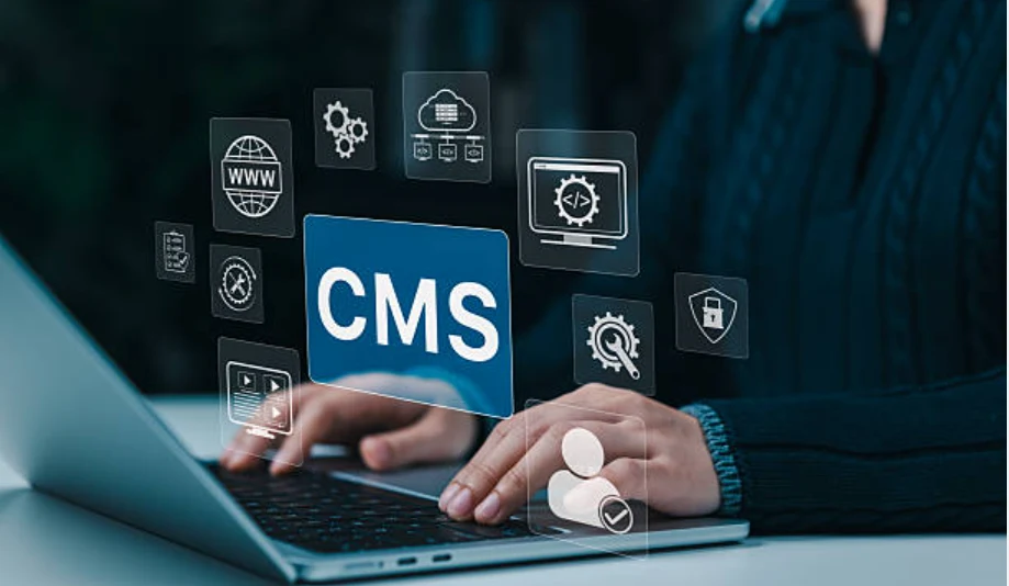 Скріншот CMS — основний екран